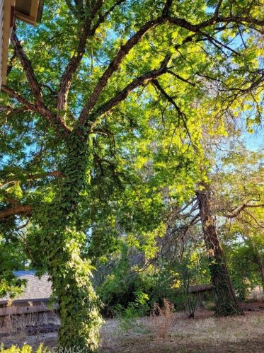 103 Tunis St, Lakeport CA  95453-4605 exterior