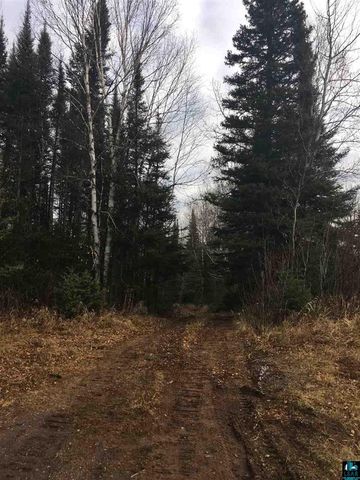 7272 Highway 1, Murphy City, MN 55603-4009