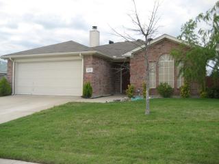 225 Lake Wichita Dr, St Paul TX  75098-4877 exterior