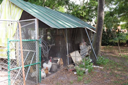 18852 50 St, Town Of Loxahatchee Groves FL  33470-2346 exterior