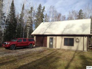 40297 Turtle Lake Trl, Bigfork, MN 56628-4326