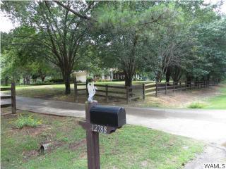 12788 Frog Ridge Rd, Buhl, AL 35446-9517