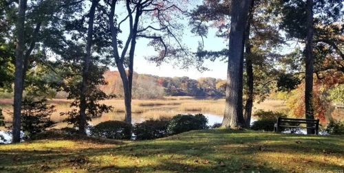 85 River Rd, Essex CT  06426-1300 exterior