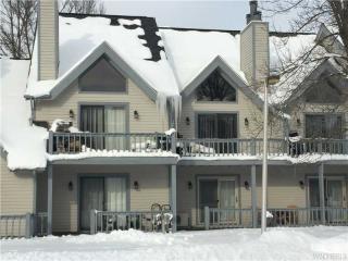 76 Wildflower, Ellicottville, NY 14731-9776