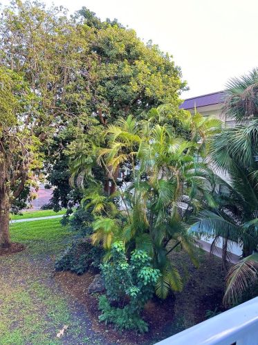 500 2nd St, Dania Beach FL  33004-3328 exterior