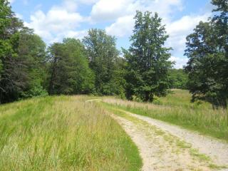 330 Pleasant Ln, Reidsville, NC 27320-8108
