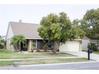 2009 Shadow Pine Dr, Brandon, FL 33511-8342