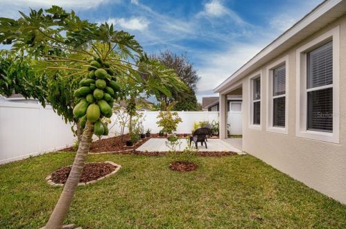 8832 Leeland Archer Blvd, Orlando FL 32836-8837 exterior