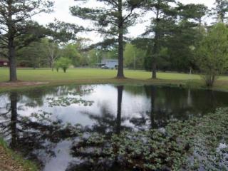 1015 Daffin Rd, Molino, FL 32577-9464
