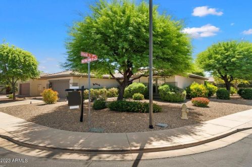 21327 Black Bear Lodge Dr, Sun City, AZ 85387-8203