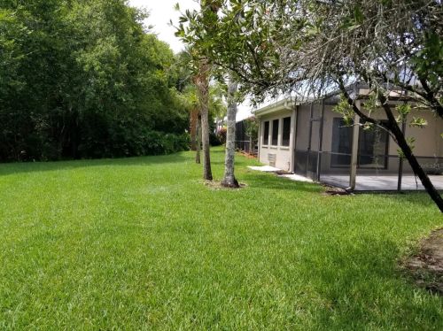 3664 Darston St, Palm Harbor FL  34685-1182 exterior