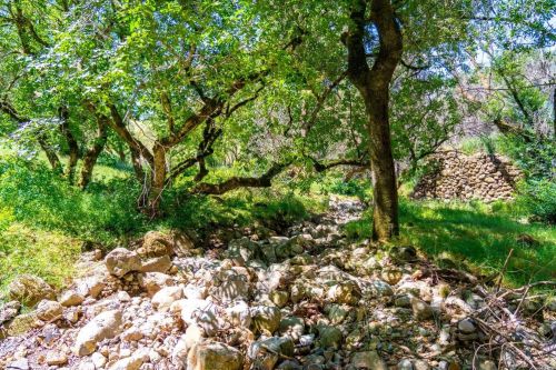 965 Los Alamos Rd, Santa Rosa CA 95409-3354 exterior