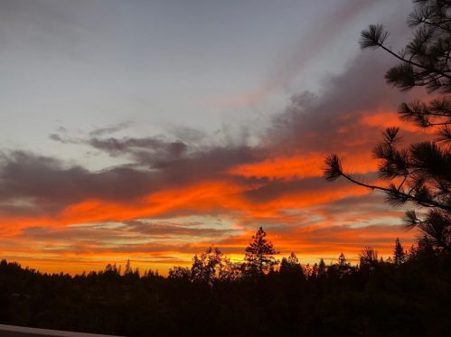 890 Sandalwood Dr, Vallecito, CA 95247-9662