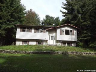 1234 Briggs Hwy, Ellenville, NY 12428-5517