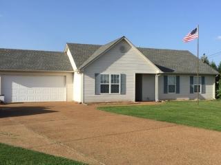 78 Misty Ridge Cv, Oakfield, TN 38362-9770