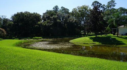 11638 Holly Ann Dr, New Port Richey, FL 34654-1732