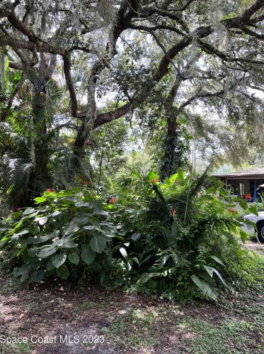 2293 Cox Rd, Cocoa, FL 32926-3521