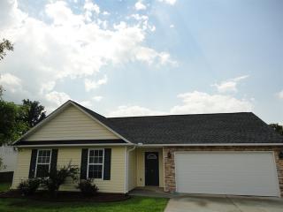 5 Pondsbury Ct, Taylors SC  29687-1715 exterior