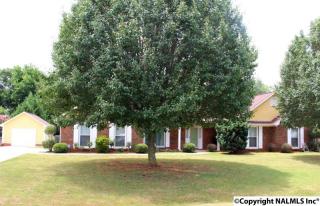 228 Sweet Bay Ct, Harvest, AL 35749-5807