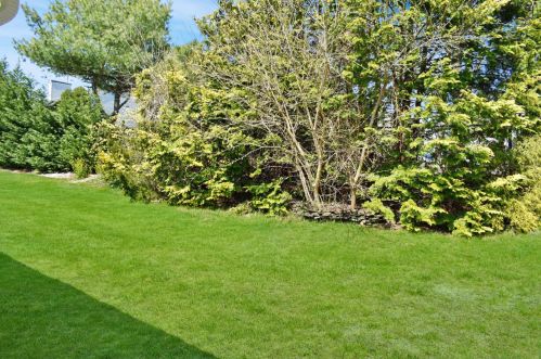 22 Phillips Rd, Bricktown NJ  08724-2441 exterior