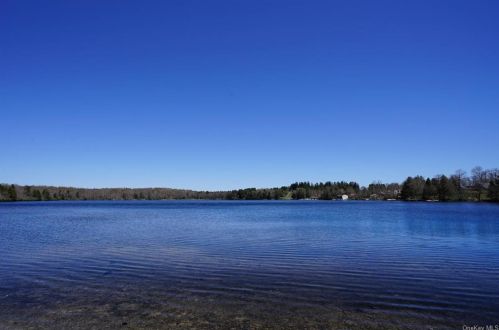 731 Stump Pond Rd, Lew Beach, NY 12758-6648
