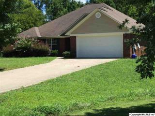 245 Turtle Creek Dr, Huntsville, AL 35806-1592