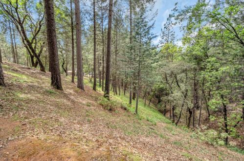 6184 Green Ridge Dr, Michigan Bluff CA  95631-9653 exterior
