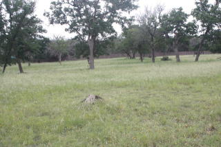 130 Oak Hampton Trl, Ingram, TX 78025-5544