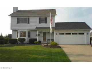 5095 Silver Maple Ln, Medina, OH 44256-8377