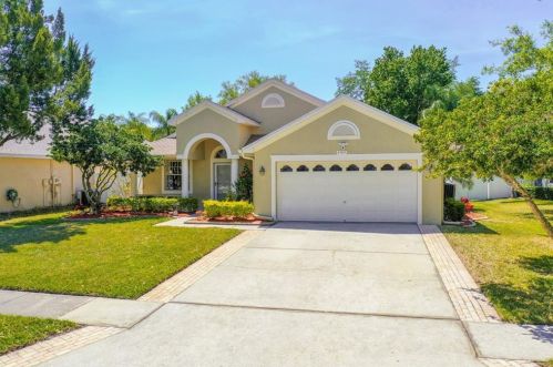 4784 Ridgemoor Cir, Palm Harbor FL  34685-3149 exterior