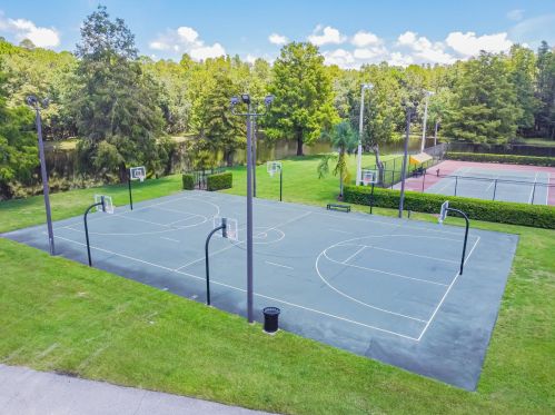 3664 Darston St, Palm Harbor FL  34685-1182 exterior