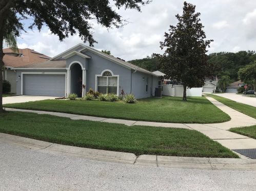 15822 Pond Rush Ct, Land O Lakes FL  34638-3743 exterior
