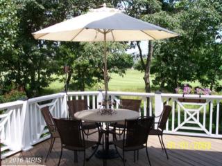 6058 Erinblair Loop, Haymarket VA  20169-2612 exterior