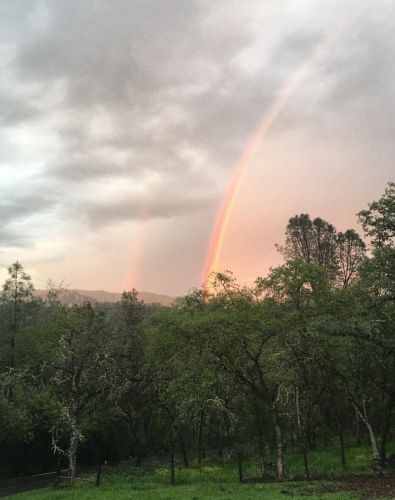 10158 Peoria Rd, Browns Valley, CA 95918-9619