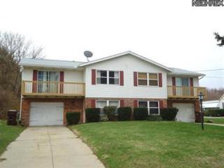 1168 Swartz Rd, Akron, OH 44306-4225