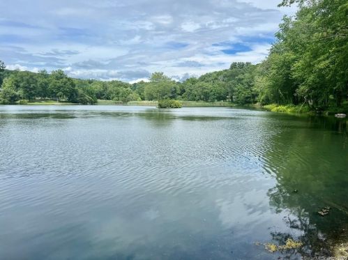 338 Union Valley Rd, Mahopac NY  10541-4333 exterior