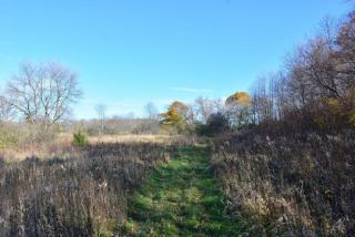 13480 Silver Fox Dr, Thiensville, WI 53097-1513