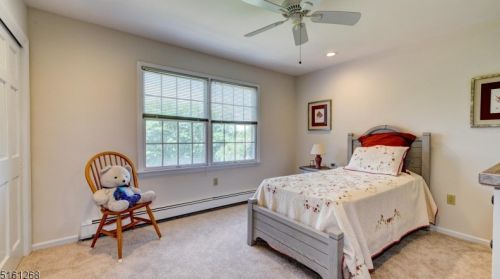 13 Buchannan Way, Flemington NJ  08822-3205 exterior