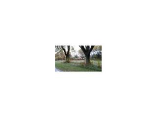 1003 Clinton Ave, Alexandria, IN 46001-2702