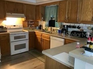 8807 Spring Haven Blvd, New Port Richey, FL 34655-3011