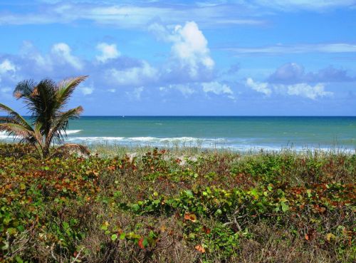 14348 Canalview Dr, Delray Beach FL  33484-8666 exterior