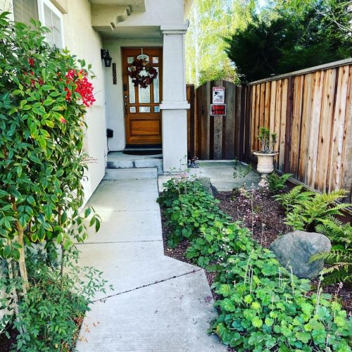 17605 Serene Dr, Morgan Hill, CA 95037-3117