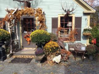 28 Pleasant St, West Woodstock, VT 05091-1126