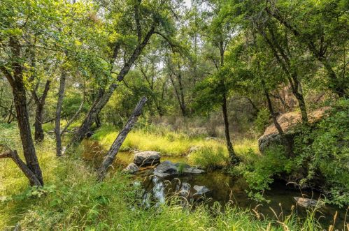 11552 Tom Ray Dr, Grass Valley CA  95949-9713 exterior