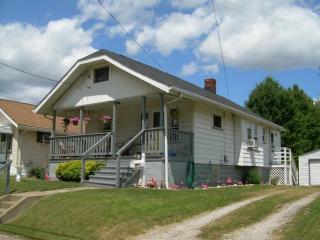 917 Wyley Ave, Akron, OH 44306-2361
