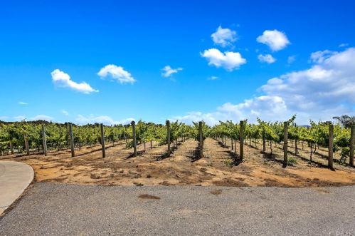 23920 La Vella Rd, Temecula CA  92590-3944 exterior