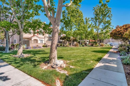 136 Griglio Dr, San Jose, CA 95134-1530
