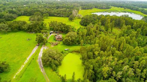 14010 Wp Ln, Thonotosassa FL  33592-4204 exterior