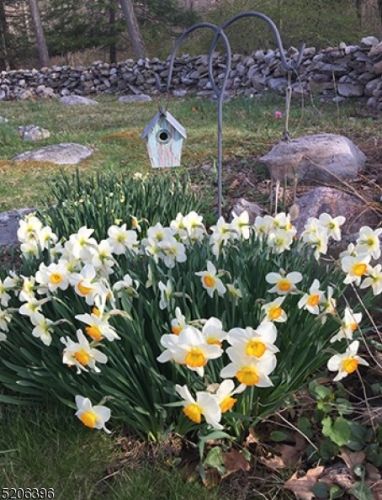 35 Kemah Mecca Lake Rd, Fredon NJ  07860-6617 exterior