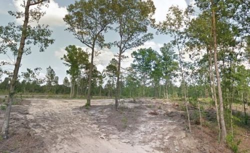 905 Old Shoals Rd, Watsonia SC  29105 exterior